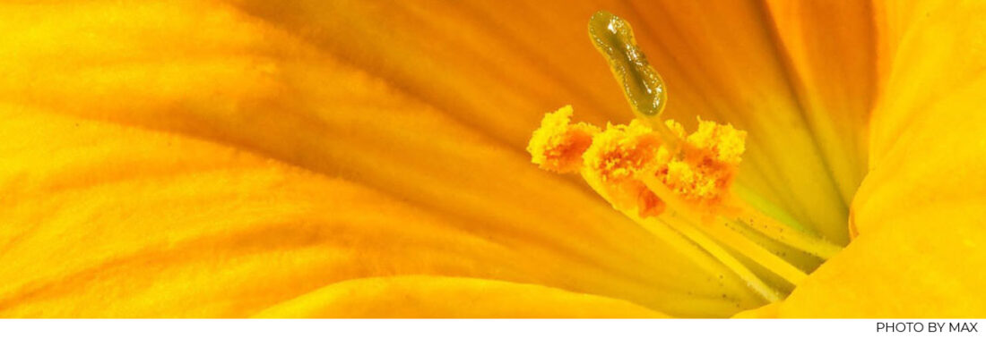 what is at the core issue new work new manager revitalise career go to the heart of the matter