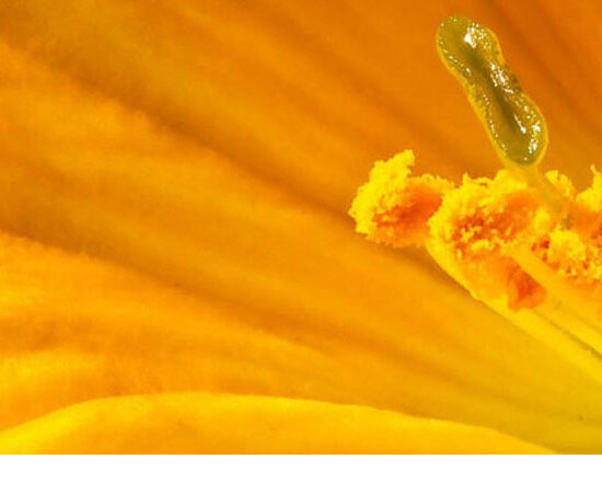 what is at the core issue new work new manager revitalise career go to the heart of the matter