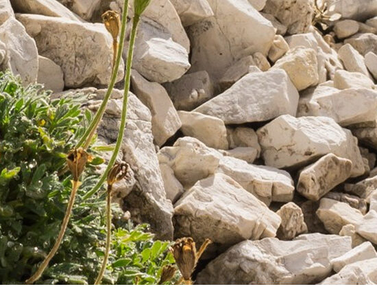 uncertainty like a hostile environment demands leadership in the moment, leadership of our own lives and workplaces