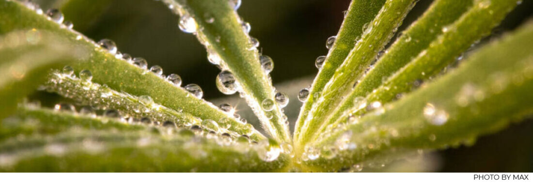 at the heart or core of what makes work meaningful and gets results lie important qualities like expressing love