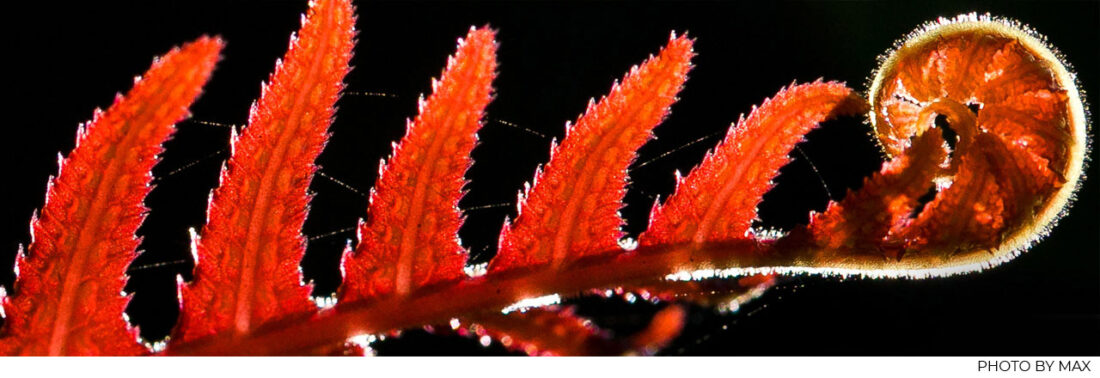 meaning matters a lot, it unfolds in the details of daily work