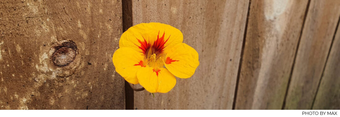 progress, finding a good way forward, qualities to take into your future