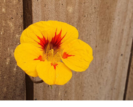 progress, finding a good way forward, qualities to take into your future